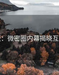 图解版：微密圈内幕揭晓互动问答