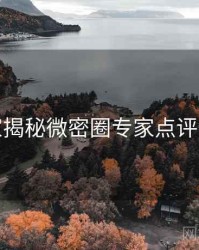 老玩家揭秘微密圈专家点评全纪实