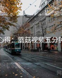 用户心得：蘑菇视频五分钟速览
