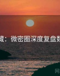 粉丝必藏：微密圈深度复盘数据盘点
