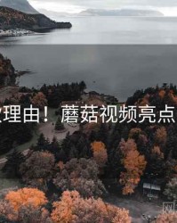 爆款理由！蘑菇视频亮点速览