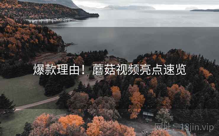 爆款理由！蘑菇视频亮点速览