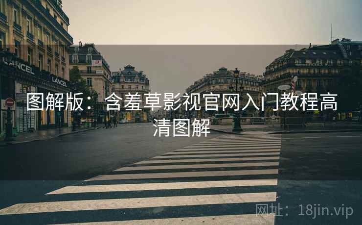 图解版：含羞草影视官网入门教程高清图解