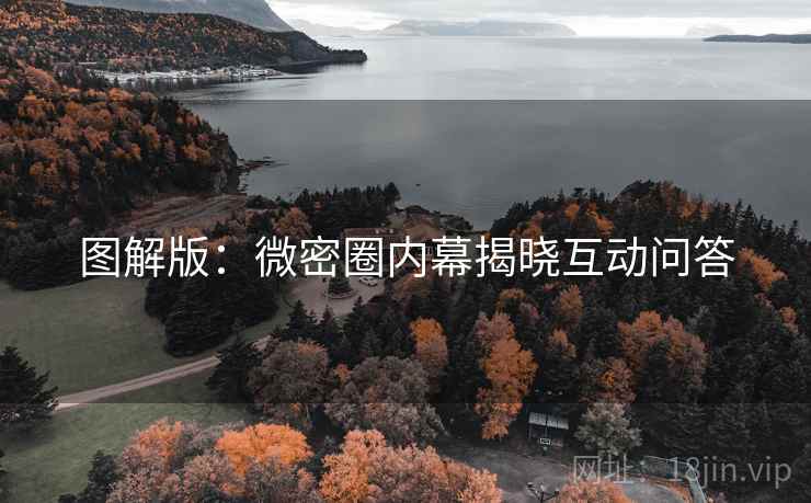 图解版：微密圈内幕揭晓互动问答