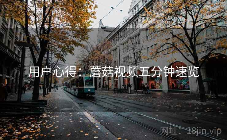 用户心得：蘑菇视频五分钟速览