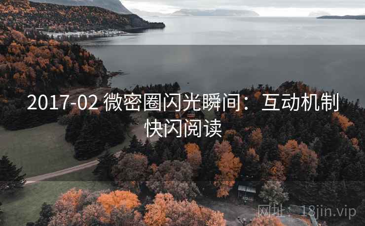 2017-02 微密圈闪光瞬间：互动机制快闪阅读