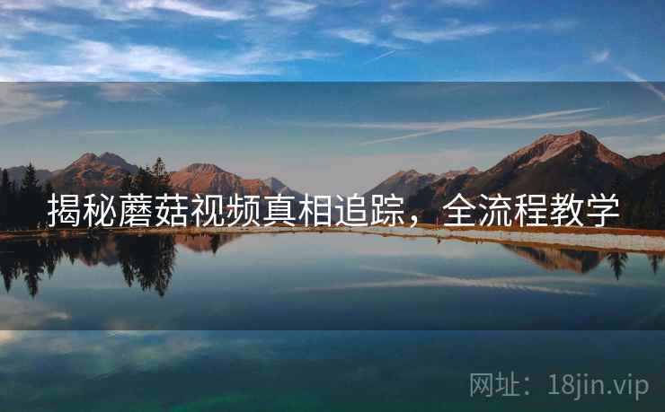 揭秘蘑菇视频真相追踪，全流程教学
