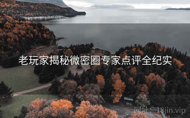 老玩家揭秘微密圈专家点评全纪实