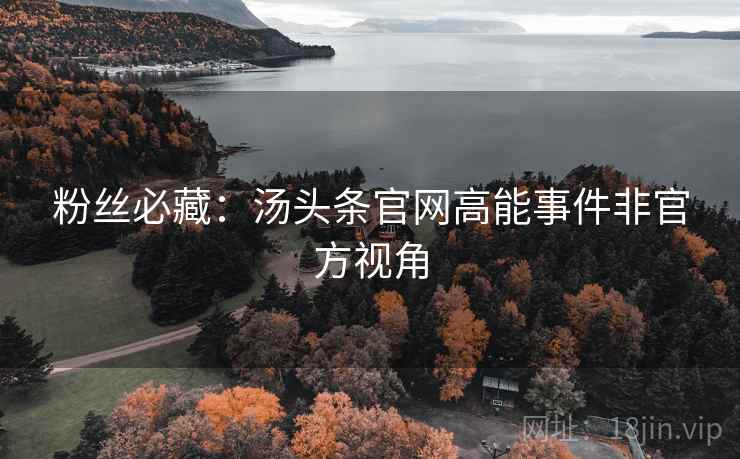 粉丝必藏：汤头条官网高能事件非官方视角