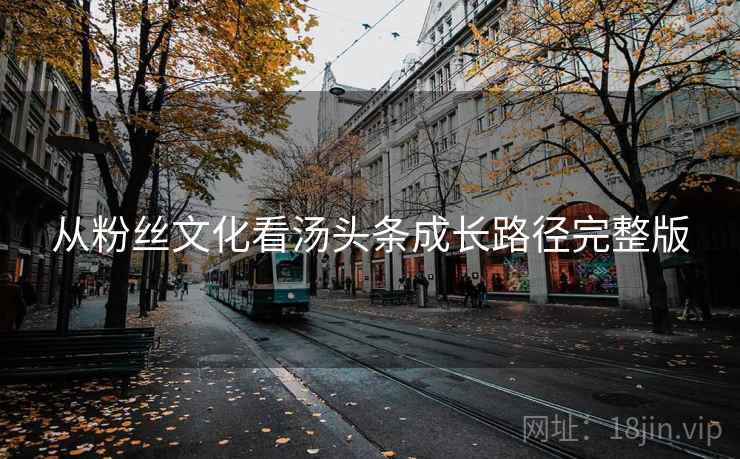 从粉丝文化看汤头条成长路径完整版