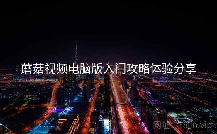 蘑菇视频电脑版入门攻略体验分享