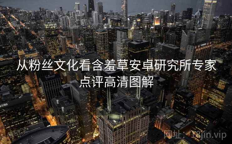 从粉丝文化看含羞草安卓研究所专家点评高清图解